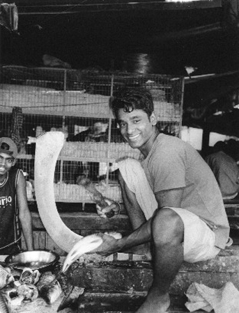 Fish Market Trader 